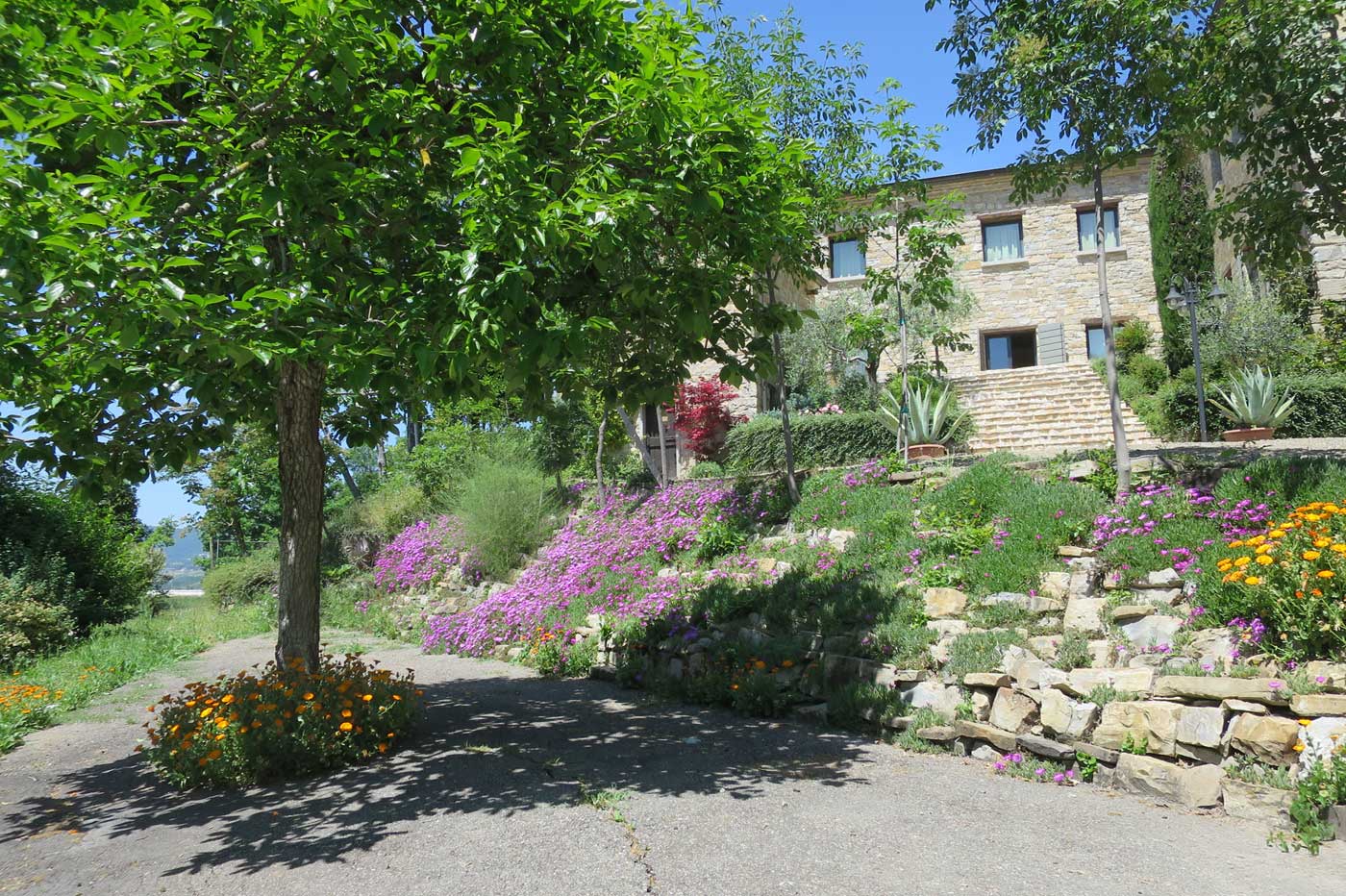 frascanera estate