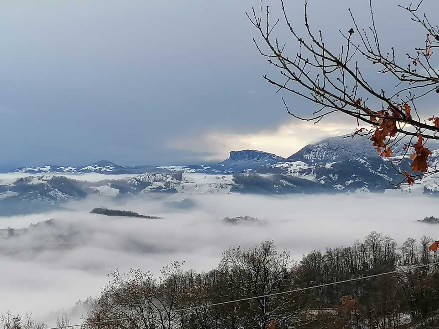 panorama with snow