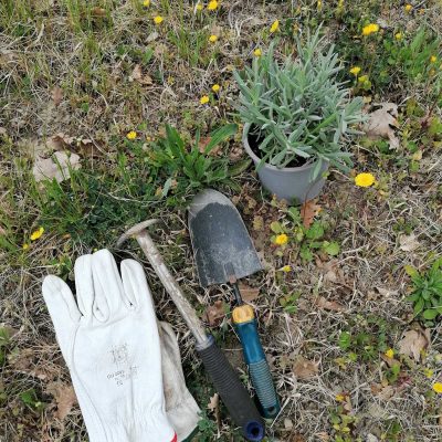 gardening tools