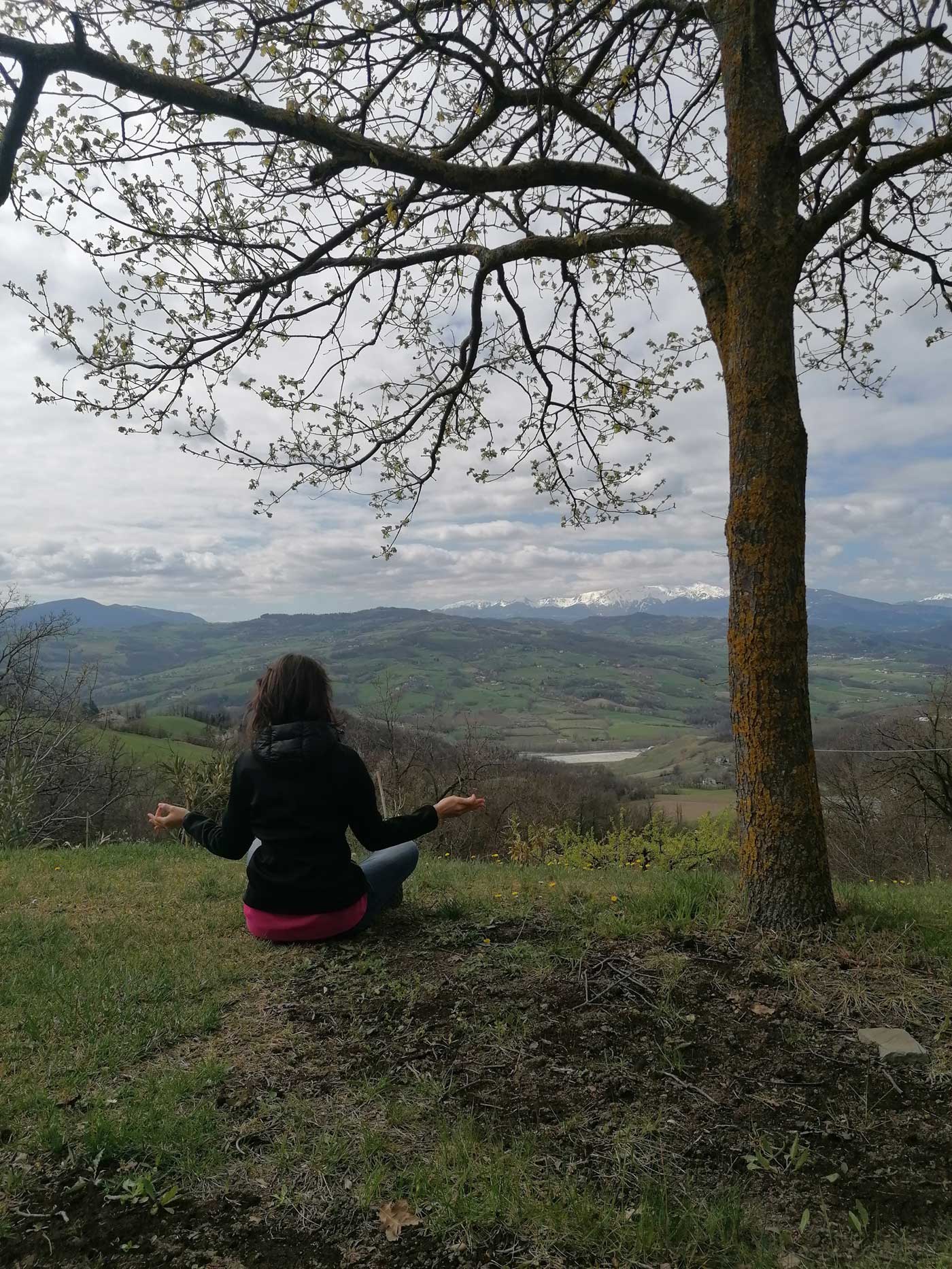 yoga in nature