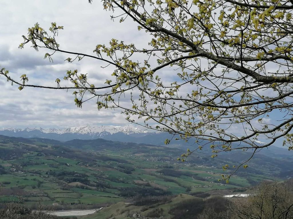 panorama mountains
