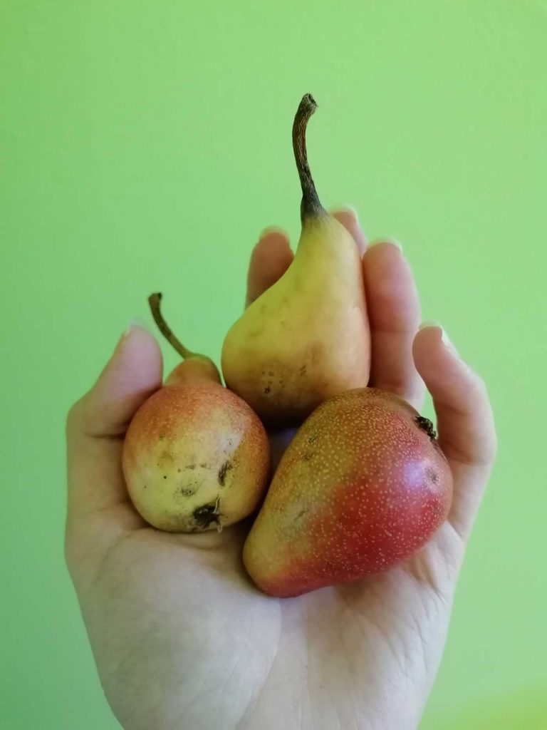conscious eating