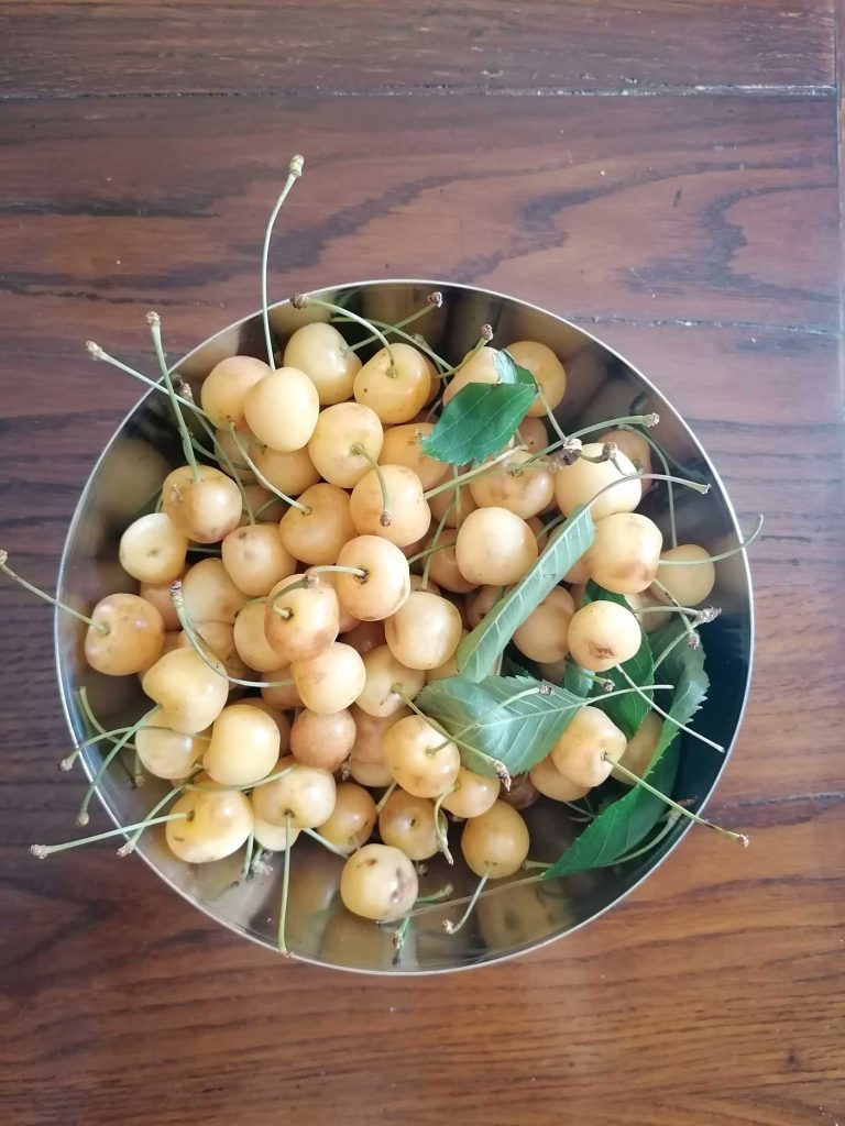 conscious eating
