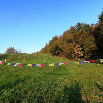 sustainable vegetable garden