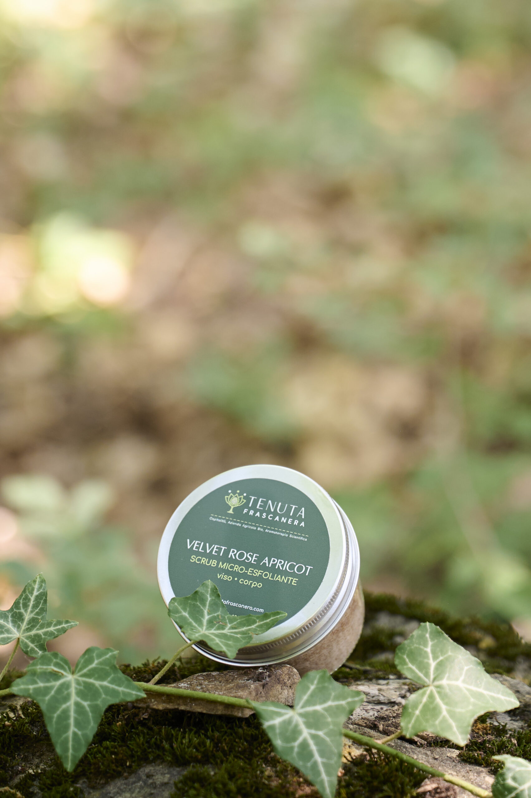 Velvet Rose Apricot - Image 2