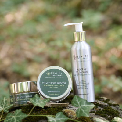 face forest trilogy