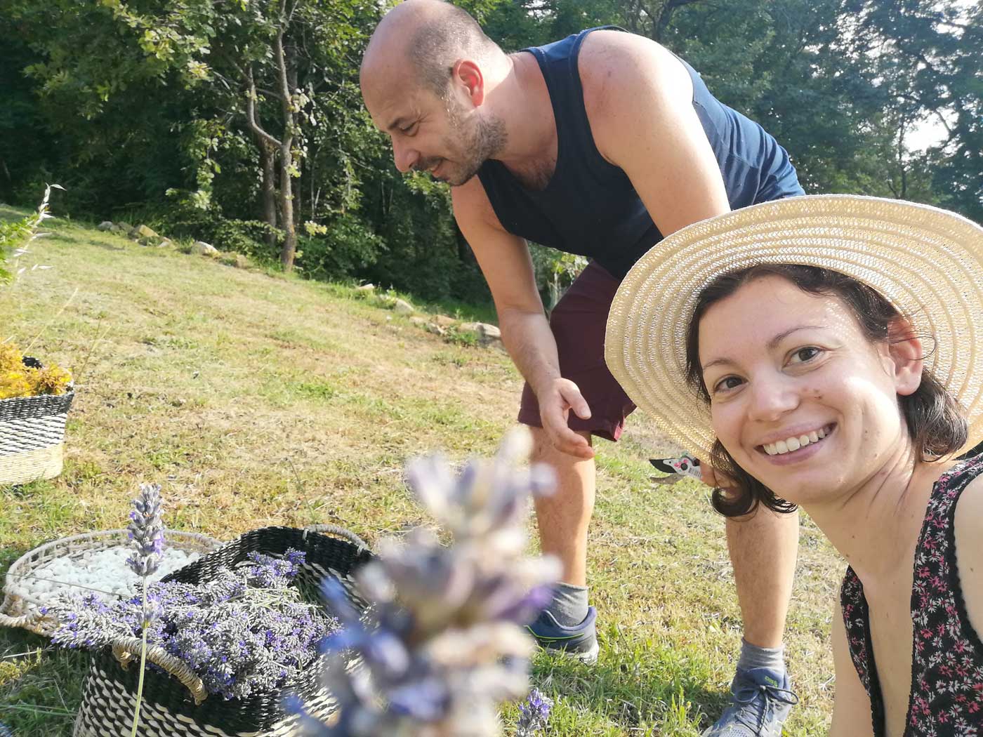 organic farm frascanera