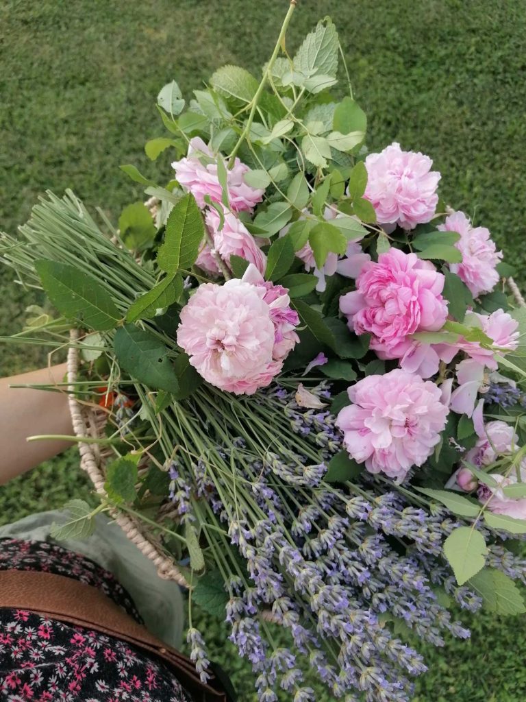 roses and lavender