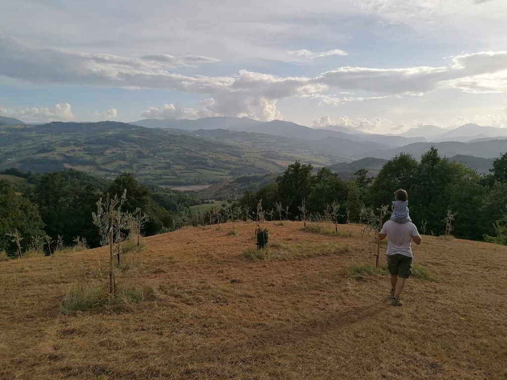 organic farm frascanera