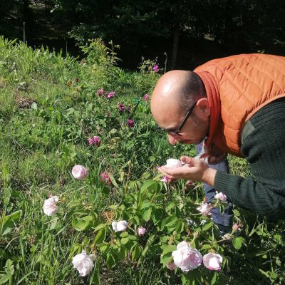 organic farm frascanera