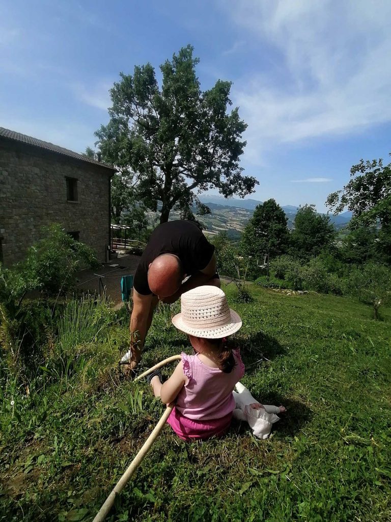 organic farm frascanera