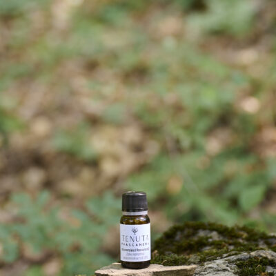 Organic Rosemary Essential Oil