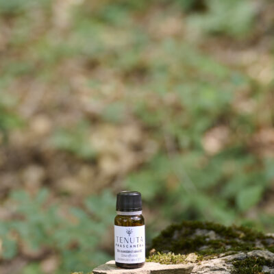 Organic Sage Essential Oil